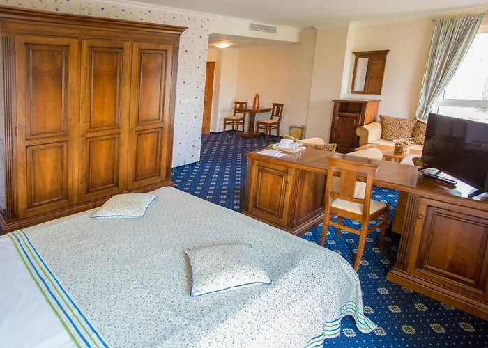 Casa De La Rosa Hotel Temešvár