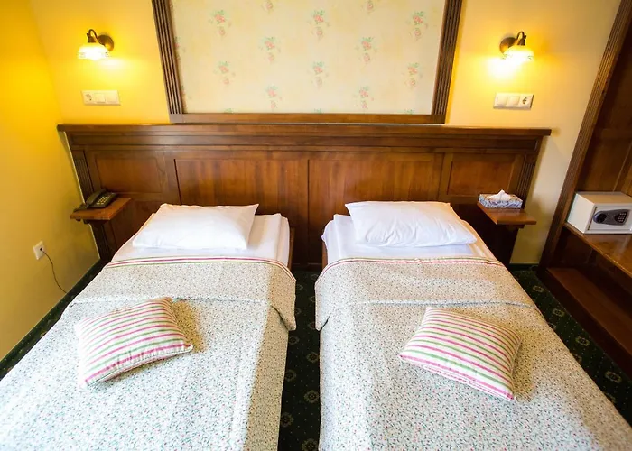 Casa De La Rosa 3* Temešvár